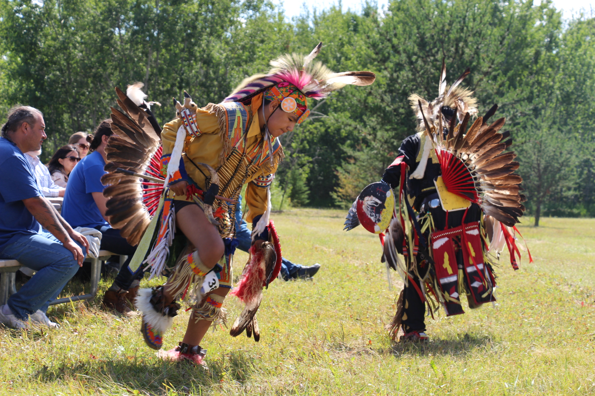 Indigenous Guardians Protect Bison | CPAWS Saskatchewan