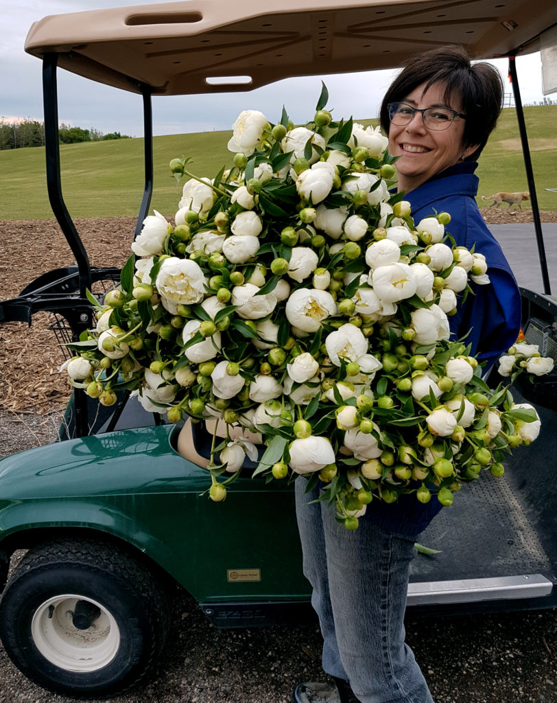 Barb with Peonies