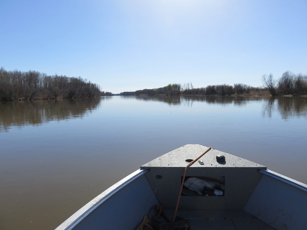 Peering over the bow of a boat onto the water