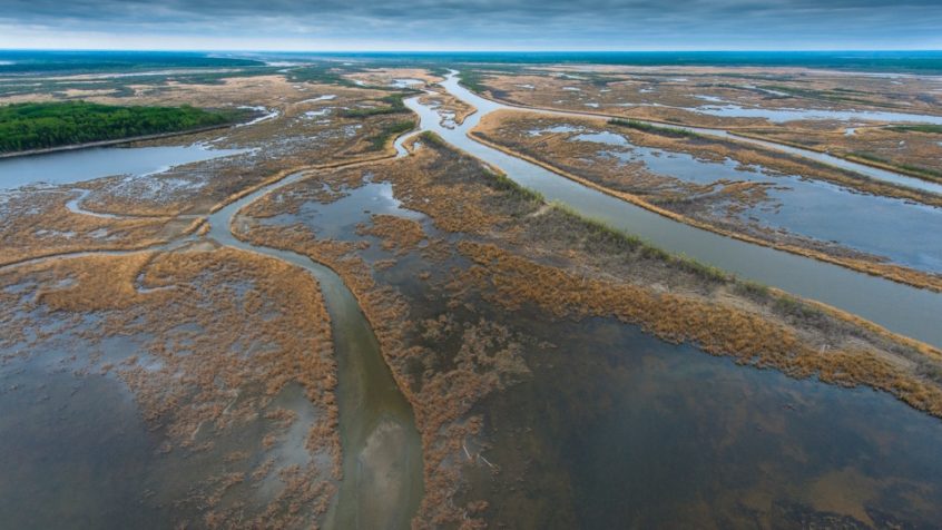 A photo of the Saskatchewan River Delta