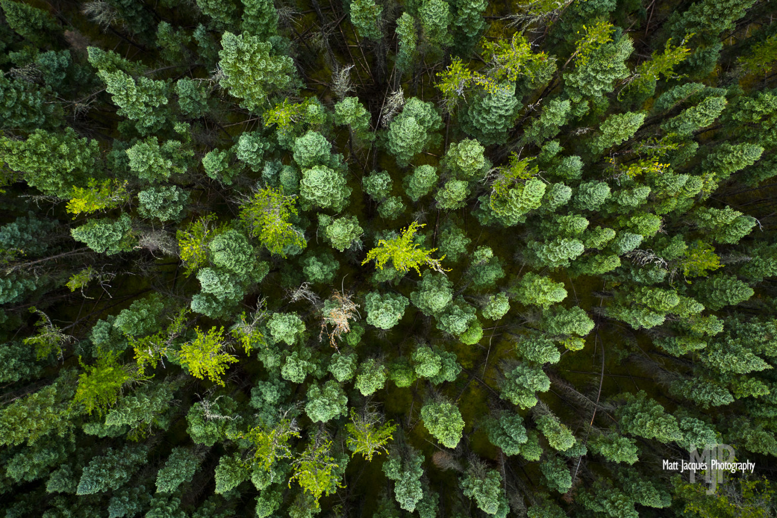 carbon-sequestration-cpaws-saskatchewan