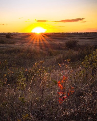 Photo of Saskatchewan grasslands by Nich Gabruch