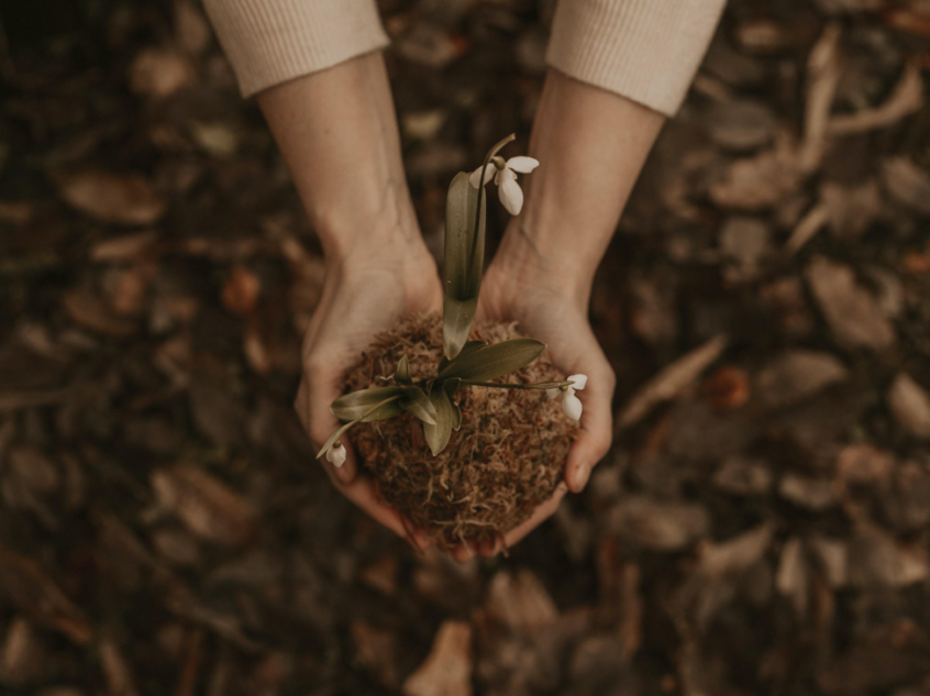 Girl holding soil