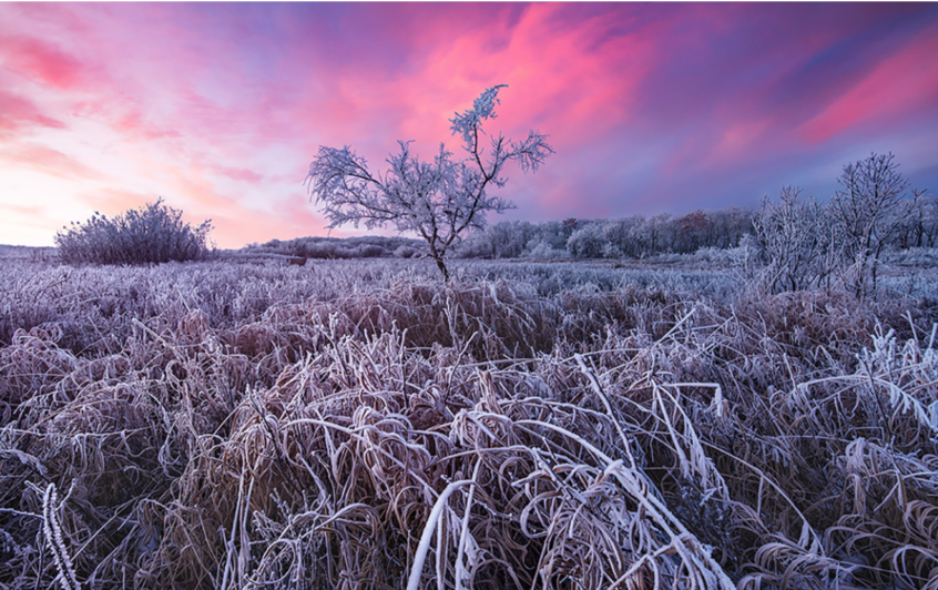 A frosty sunrise at White Butte Trails