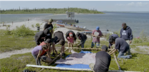 Group of people stretch hide