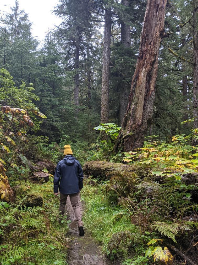 Rollin walks through BC forest