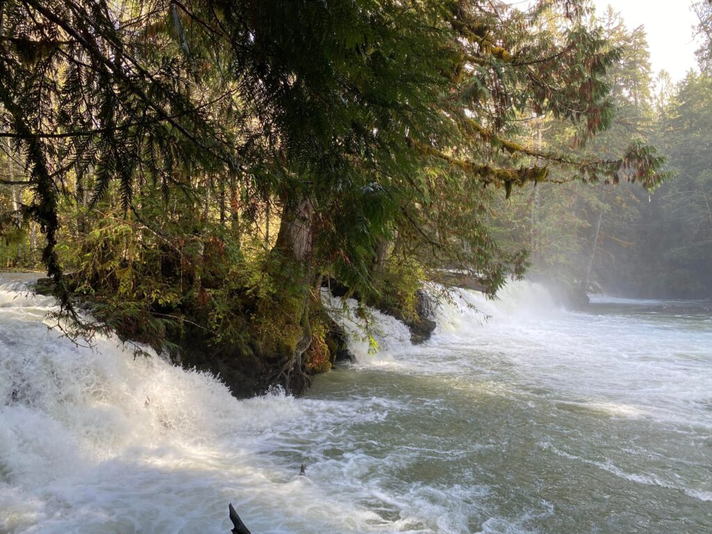 A crashing river in BC