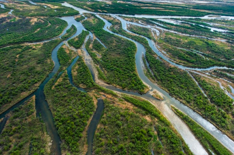 Overhead view of Sask River Delta