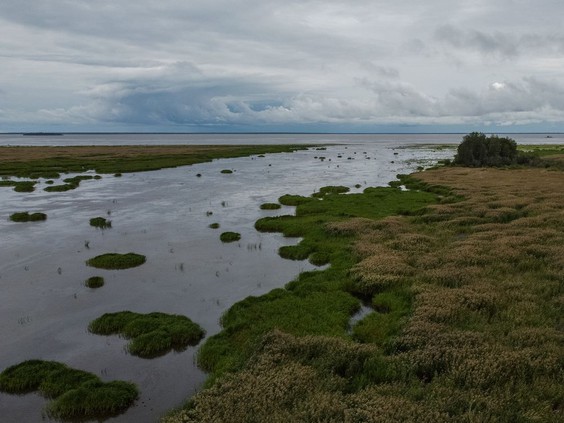 A photo of the Saskatchewan River Delta by Matt Smith