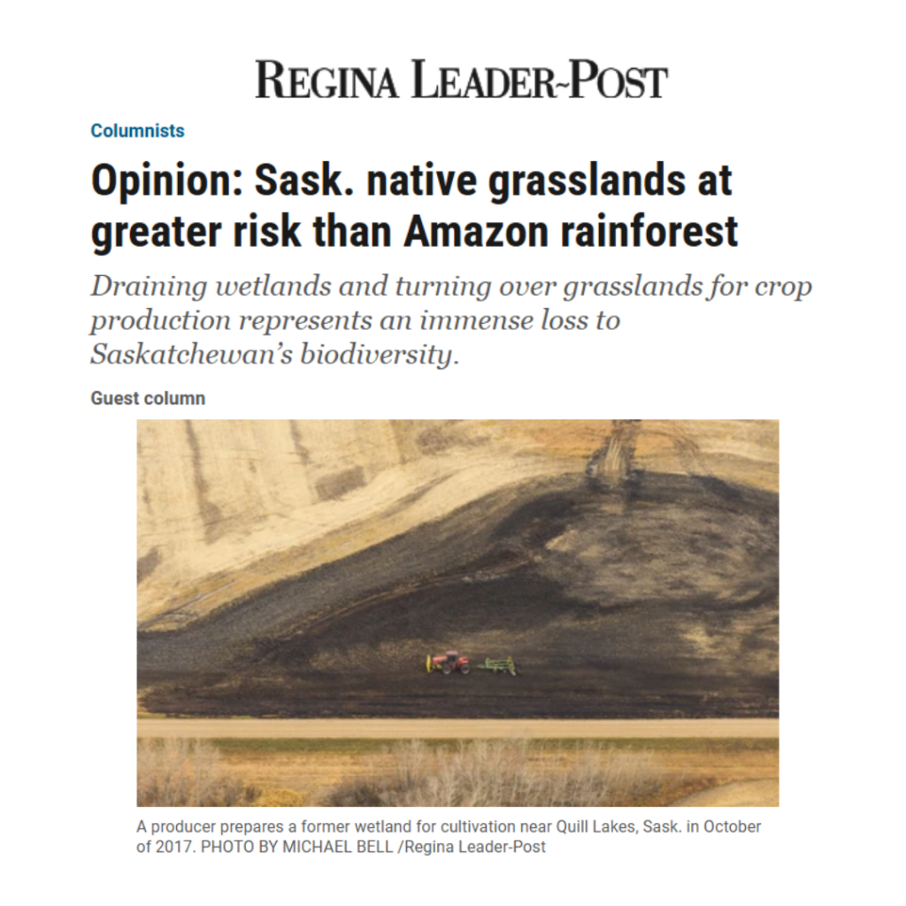 Sask native grasslands at greater risk than the Amazon rainforest